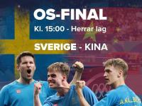 开云官网-欧预赛强争夺激烈瑞典坐镇主场击败保加利亚的简单介绍